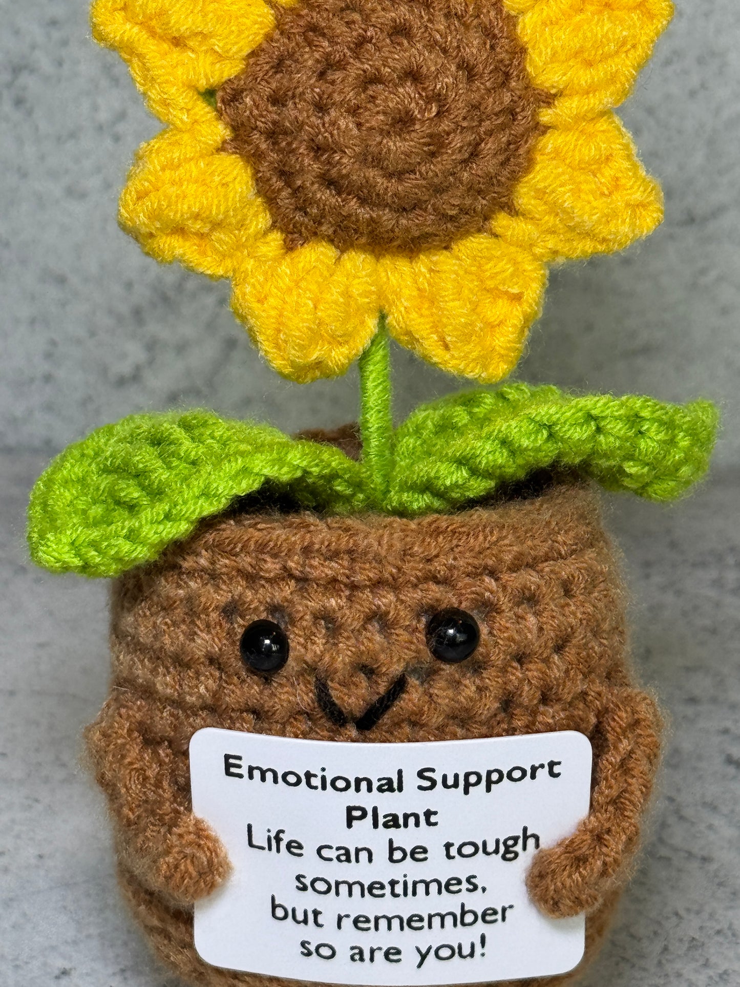 Handmade Crochet Positivity Plush – Uplifting Gifts & Home Décor by CraftnCrumble LLC