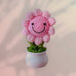 Handmade Crochet Positivity Plush – Uplifting Gifts & Home Décor by CraftnCrumble LLC