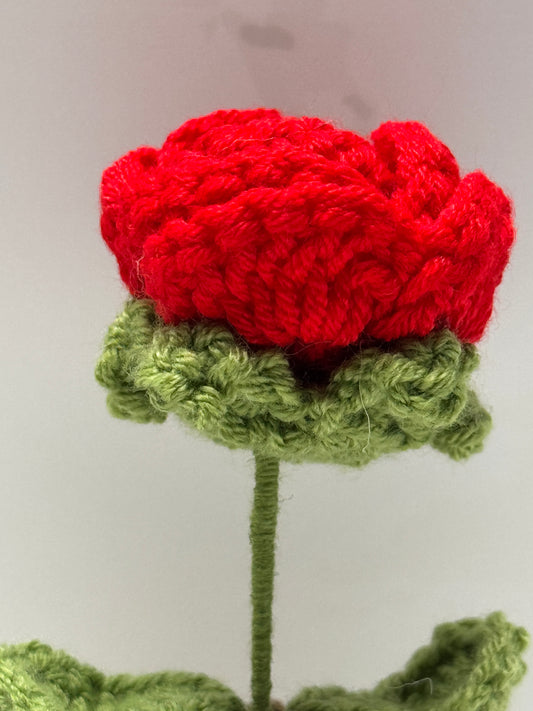 Handmade Crochet Positivity Plush – Uplifting Gifts & Home Décor by CraftnCrumble LLC