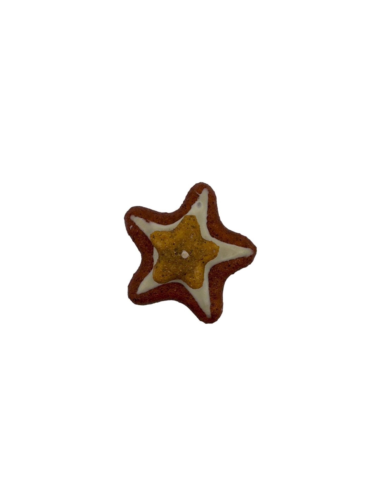 Assorted Fake Cookie Magnets in star shape with lifelike textures and details.