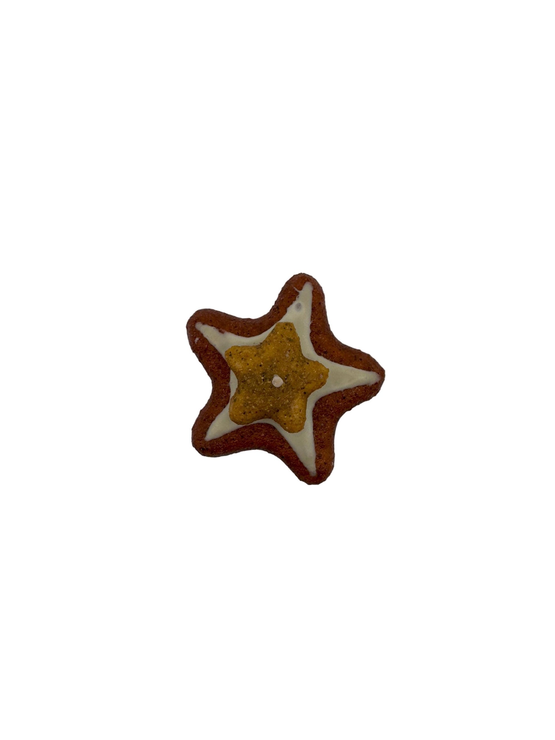 Assorted Fake Cookie Magnets in star shape with lifelike textures and details.