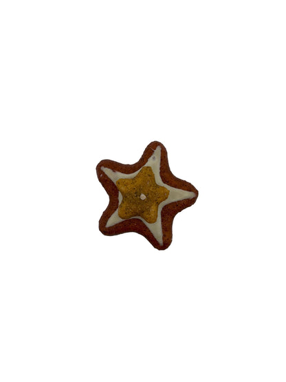 Assorted Fake Cookie Magnets in star shape with lifelike textures and details.