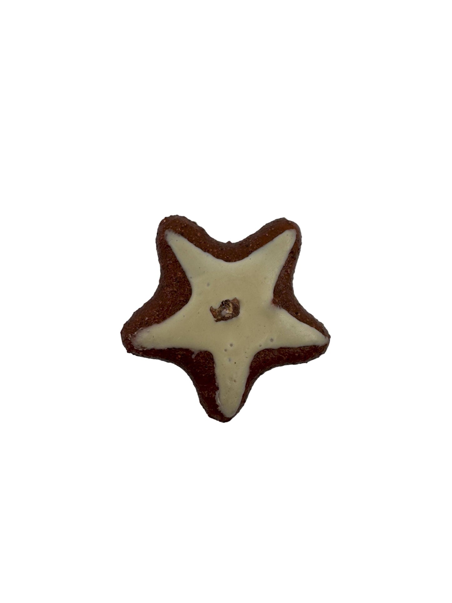 Assorted Fake Cookie Magnets – Realistic star-shaped cookie magnet with chocolate and cream details.