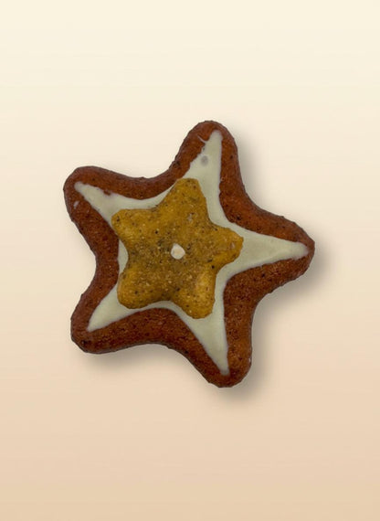 Assorted Fake Cookie Magnets star-shaped cookie magnet with lifelike details and realistic textures for fridge decor