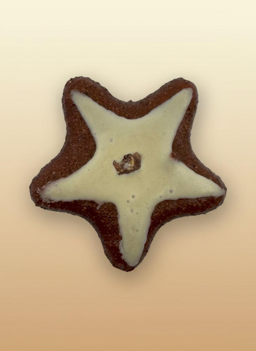 Assorted Fake Cookie Magnets - realistic star-shaped cookie magnet with white icing for fridge decor.