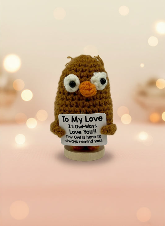 Crocheted owl plushie holding a card with text on a white background